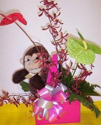 Cheeky monkey with flowers