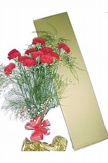 Carnations in gift box