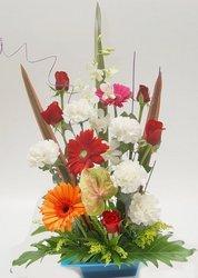 Modern style arrangement