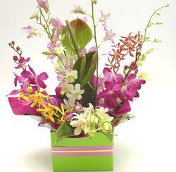 Orchid arrangement in kraft box