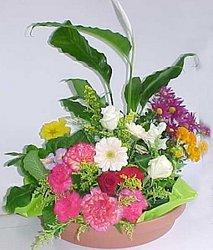 Large Pot-et-Fleur