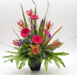 Radial arrangement in ceramic pot