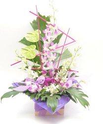 Modern Orchid Arrangement