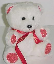 Cute teddy