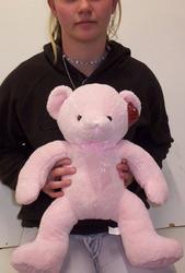 Blue Boy or Pink Girl Teddy