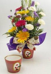 Arrangement in Christmas pot