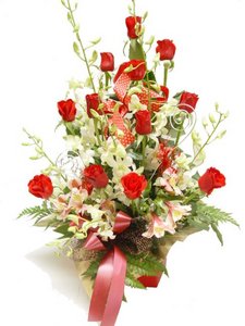 Roses and Orchids   xmas17
