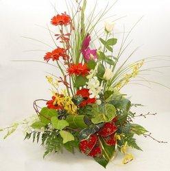 Large Christmas arrangement   xmas19
