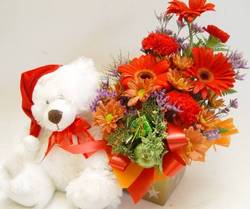 Teddy and mini box flowers