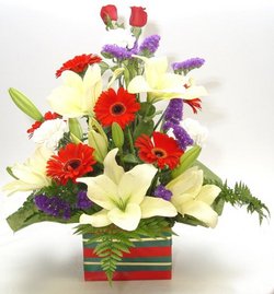 Christmas arrangement