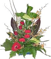 Modern style arrangement