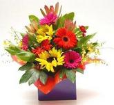 Mixed arrangement in kraft box