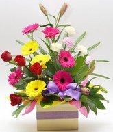 Large mixed arrangement in kraft box