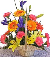 Mixed arrangement in basket