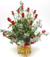 Dozen hot house roses in kraft box