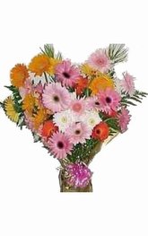 Bouquet two dozen gerberas