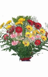 Supreme bouquet of gerberas