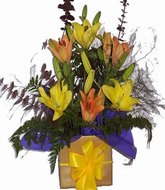 Arrangement in kraft box