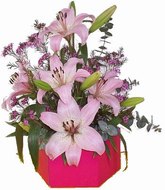 Arrangement in octagonal box