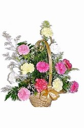 Carnation arrangement in basket