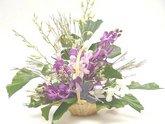 Orchid arrangement in basket