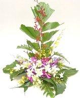 Orchids in ceramic dish