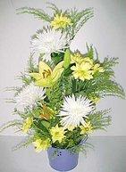 Mothers day Chrysanthemum Arrangement   - disbud -
