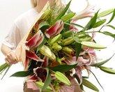 Oriental lilium hand tied bouquet    - mum12 -