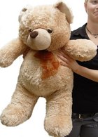 Braxton Teddy