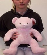 Blue Boy or Pink Girl Teddy