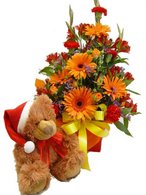 Christmas Teddy with flowers
