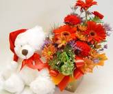 Teddy and mini box flowers