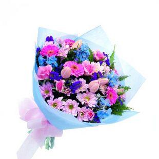 Pink and Blue C2.2