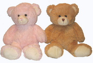 Jesse Bear Brown