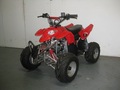 110cc Quad Bikes