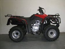 BL250Ranger