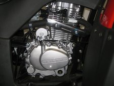 BL250Ranger