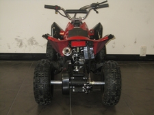 BL49Wildboy