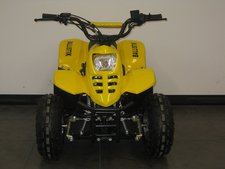 BL50WildBoy