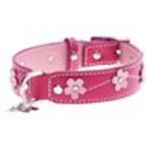 Hamish McBeth leather collar (Lucy Pink)