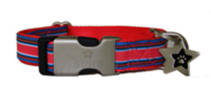 Paw Stars Ribbon Range (Ginger)
