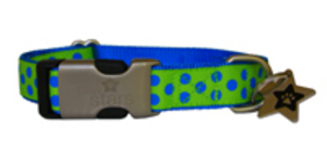 Paw Stars Ribbon Range (Charlie)