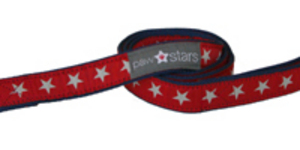 Ribbon dog lead (Rocky)
