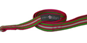 Ribbon dog lead (Lulu)