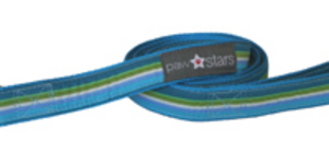 Ribbon dog lead (Archie)