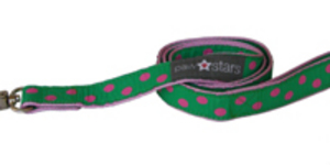 Ribbon dog lead (Apple)