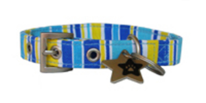 Paw Stars Canvas Range (Jamie)