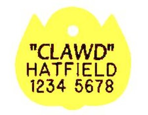 Acrylic Cat Shape Tag