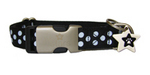 Paw Stars Ribbon Range (Molly)