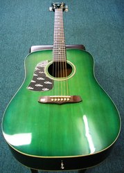 Aria Acoustic Guitar